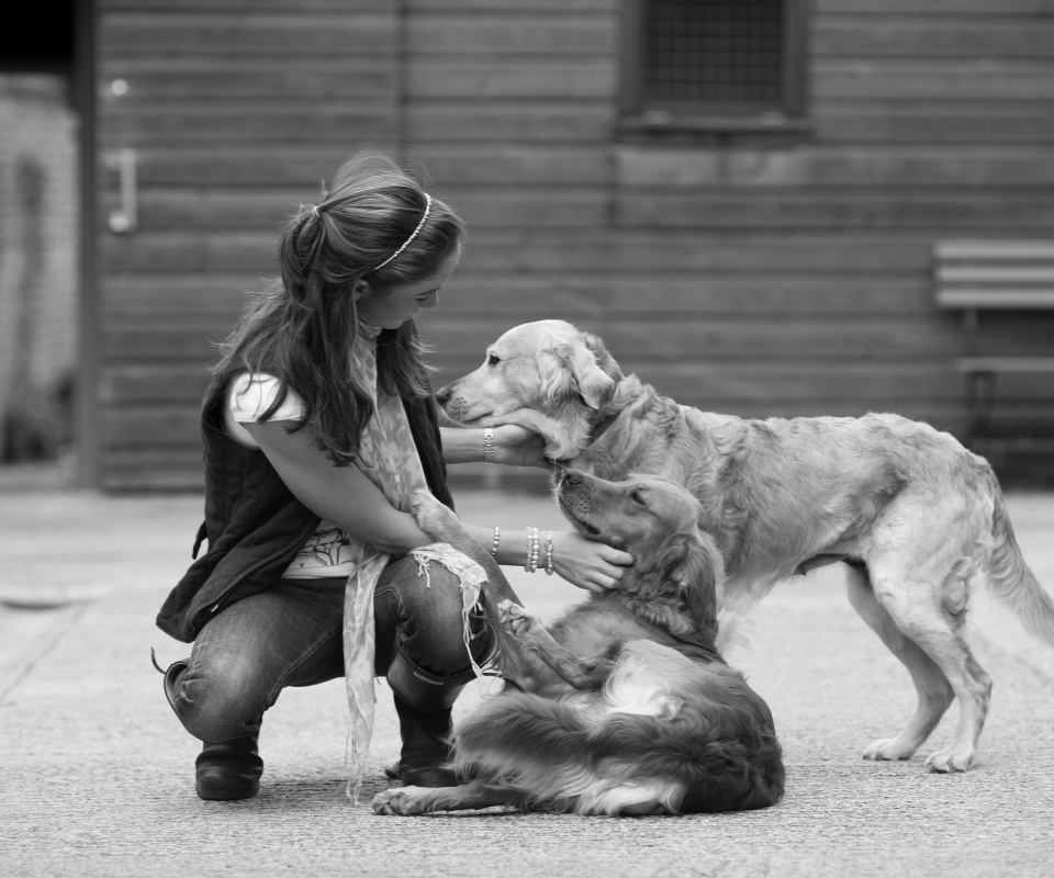 Девушка с собаками обои