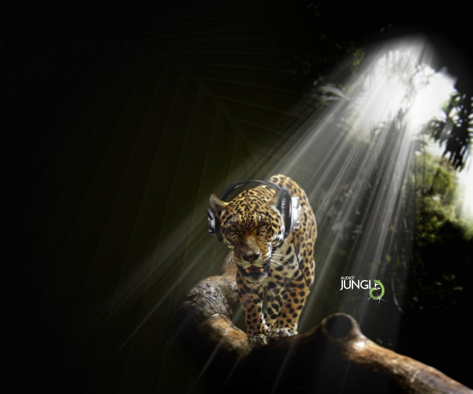 Ягуар в наушниках обои