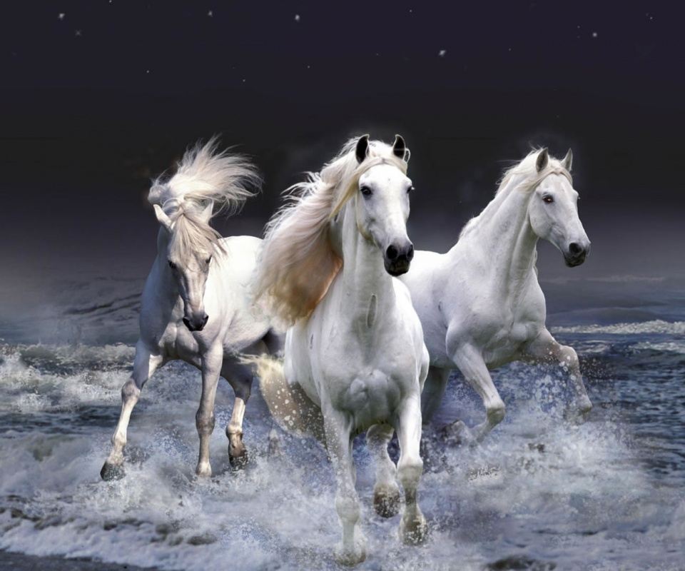 Тройка конец в море обои