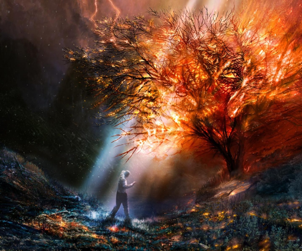 Горящее дерево обои