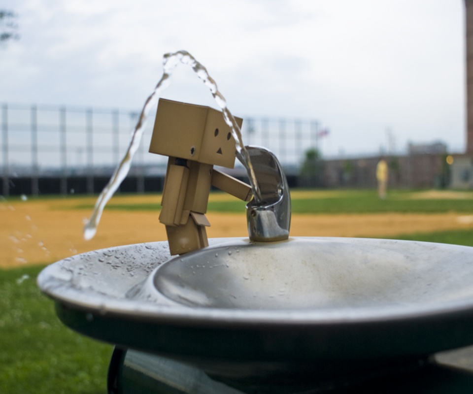 Дандо пьет в воду из фонтанчика обои