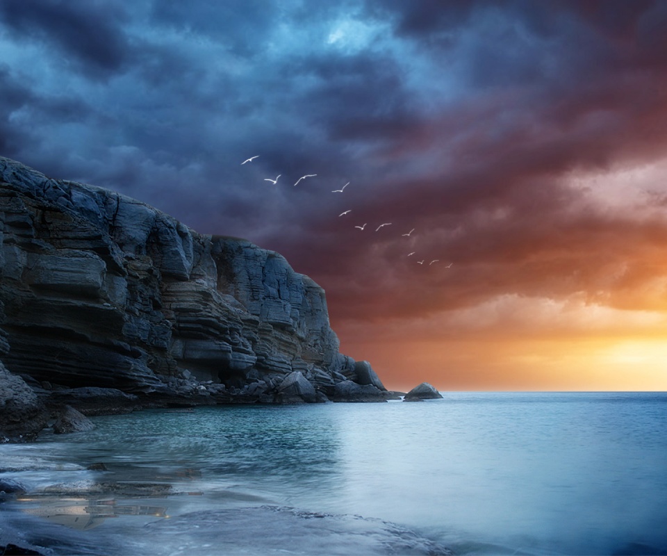 Чайки над скалами обои