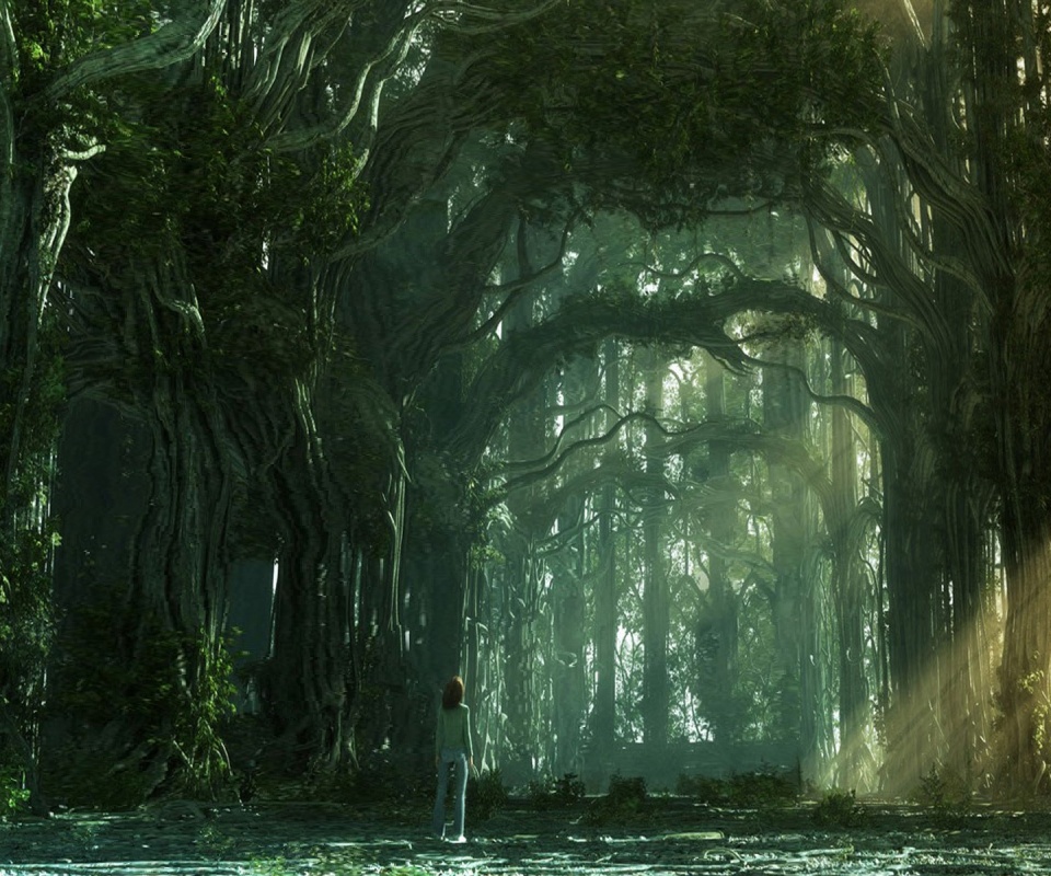 Одна в сумеречном лесу обои