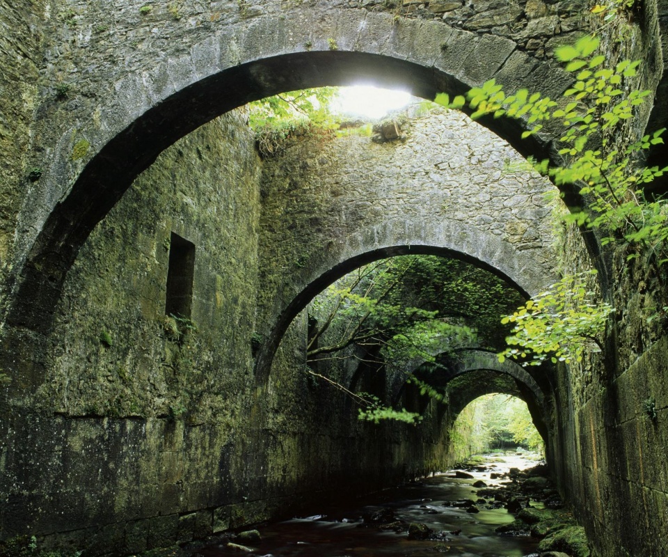 Заросшие стены обои