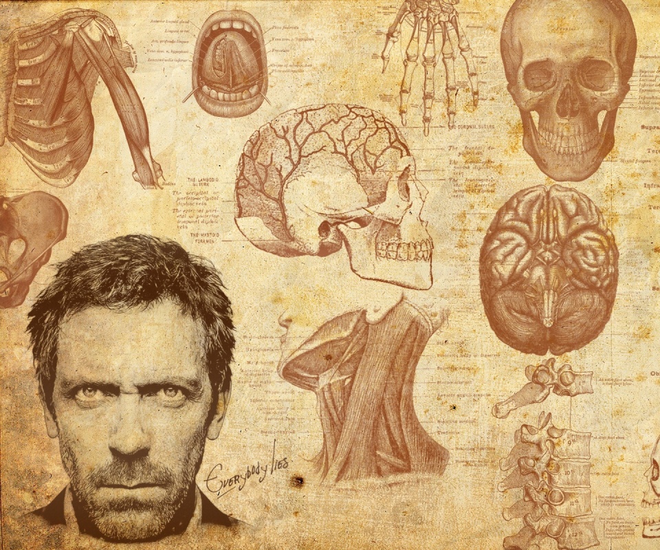 Анатомические рисунки доктора Хауса обои