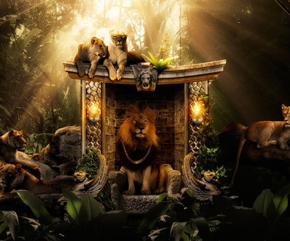 Царь зверей обои