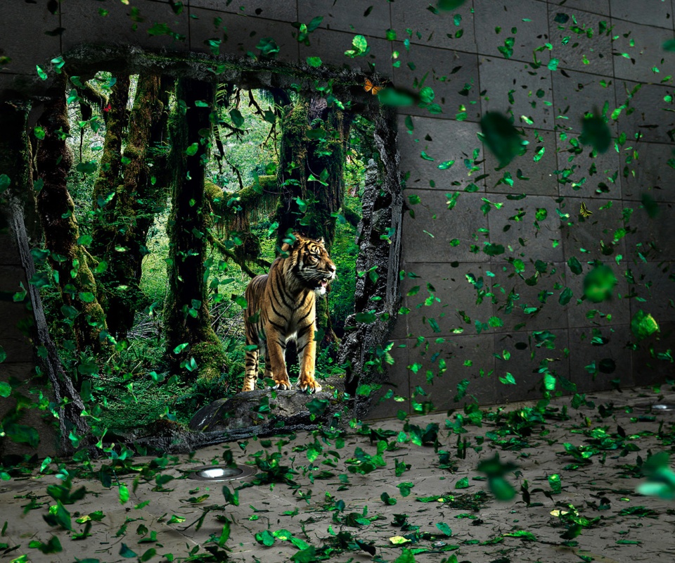 Портал в джунги обои