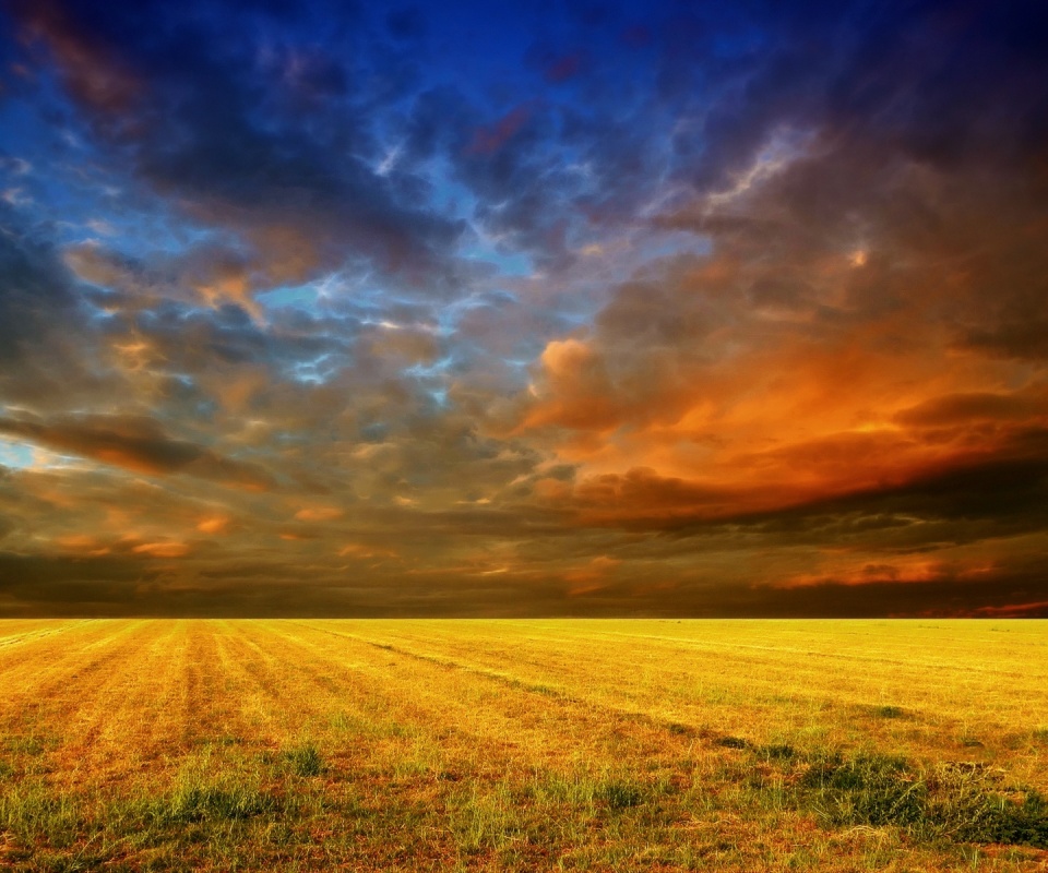 Тучи над желтым полем обои