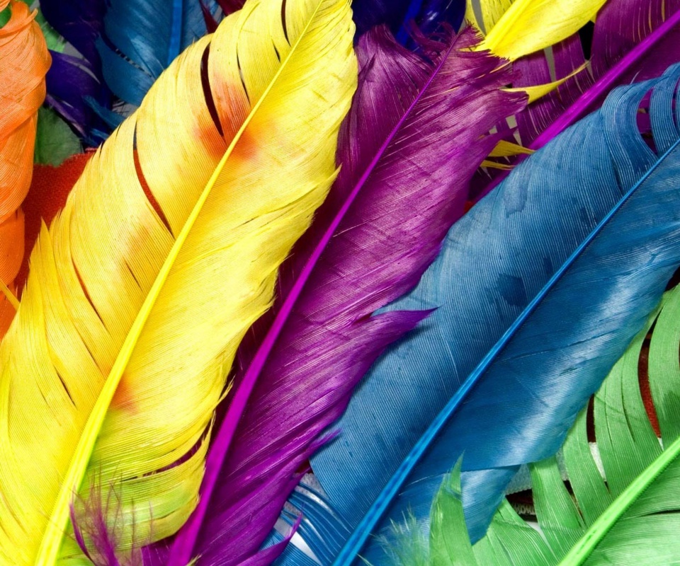 Разноцветные перья обои