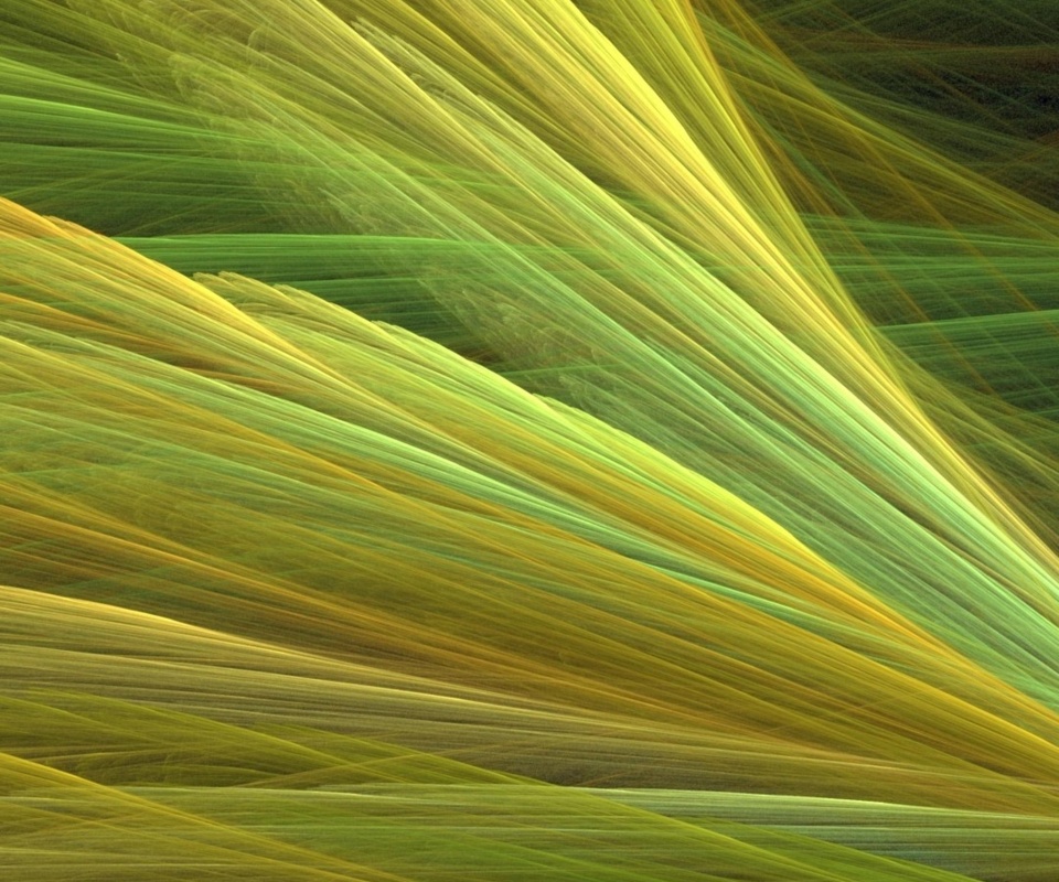 Прозрачные зеленоватые крылья обои