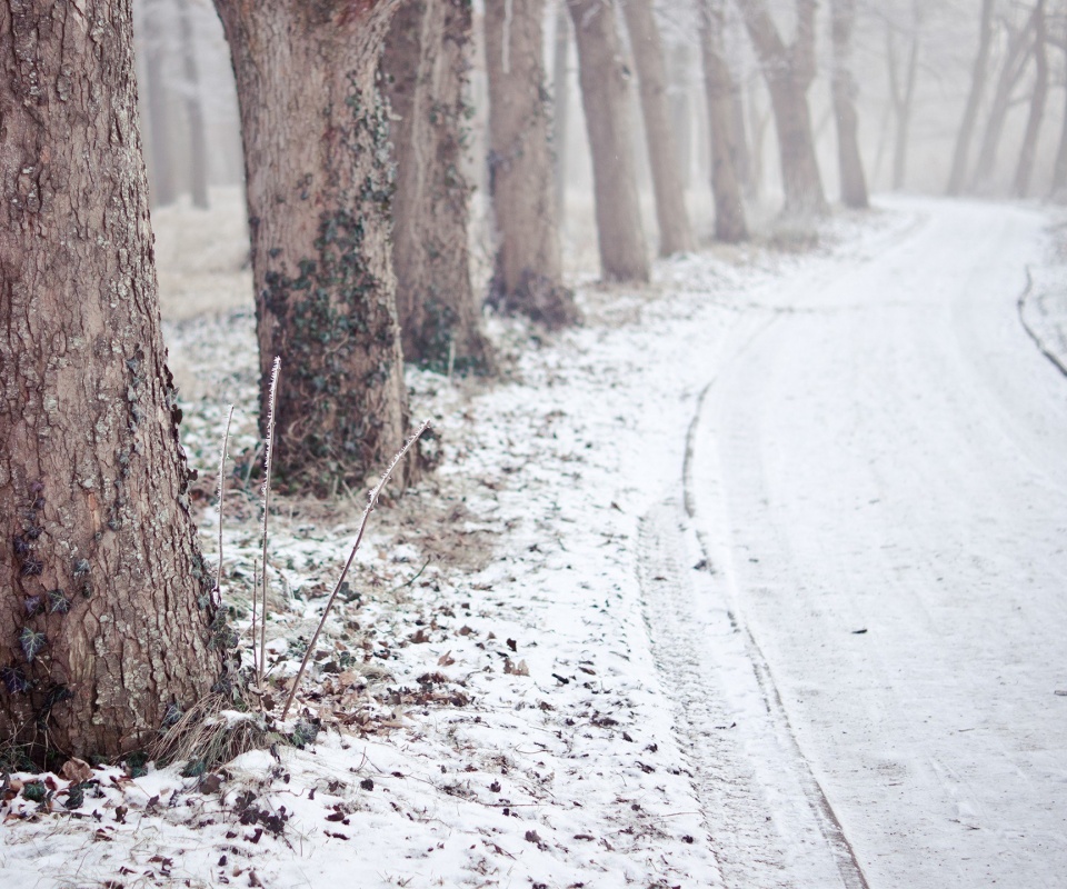 Дорога в зимнем лесу обои