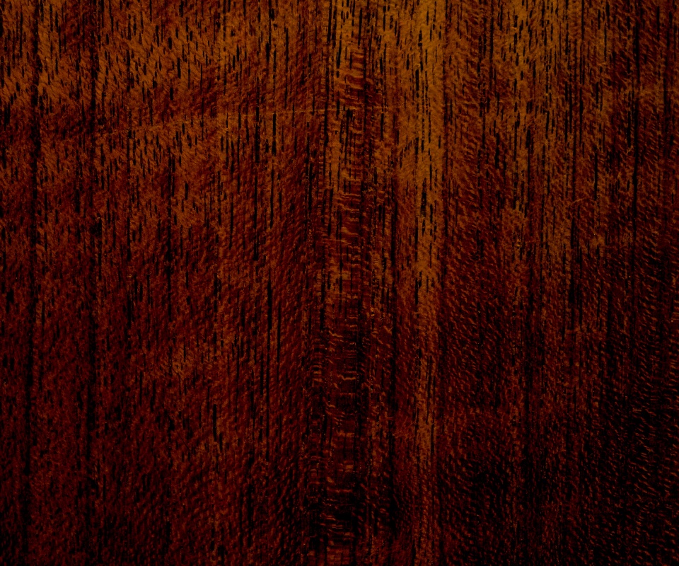 Темно-оранжевое дерево обои