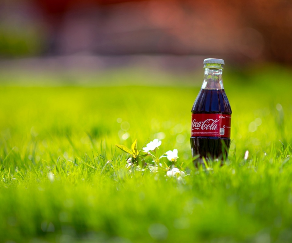 Кока-Кола на траве обои