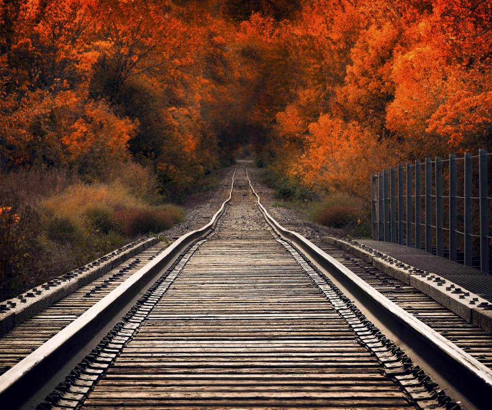 Железная дорога в осеннем лесу обои