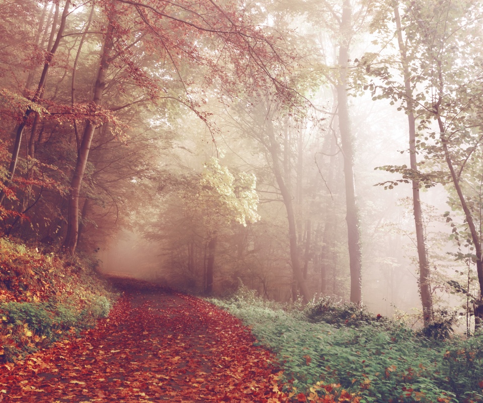 Осенний мистический пейзаж обои