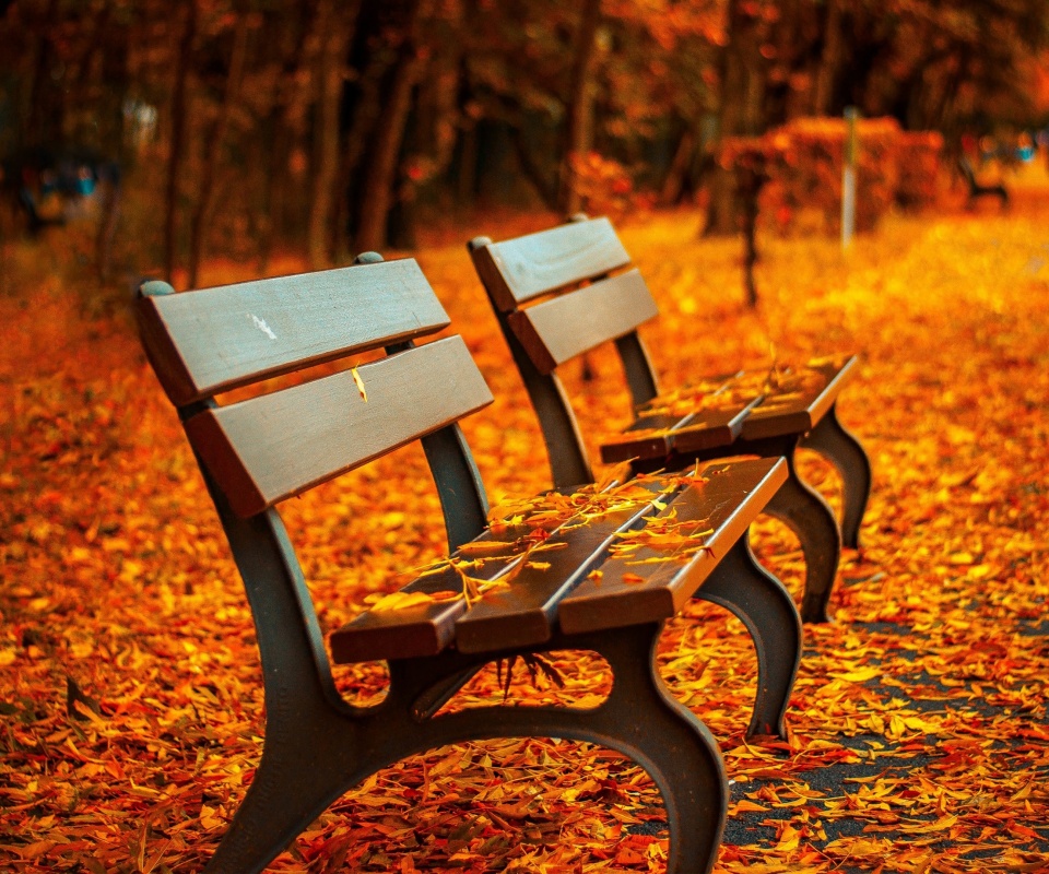 Лавочки в осеннем парке обои