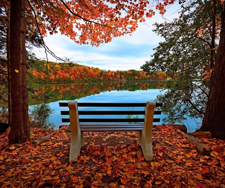 Вид на осеннее озеро обои