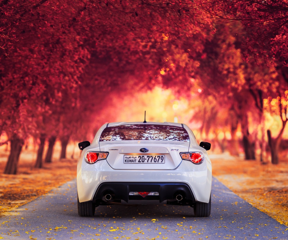 Субару на осенней дороге обои