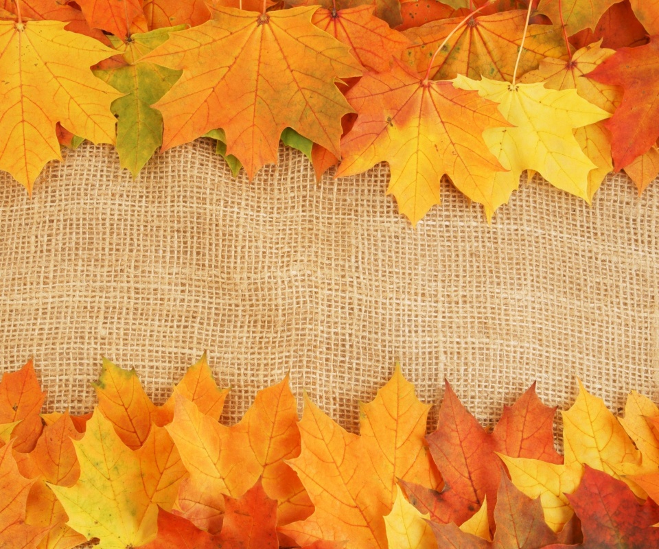 Желтые кленовые листья на холсте обои