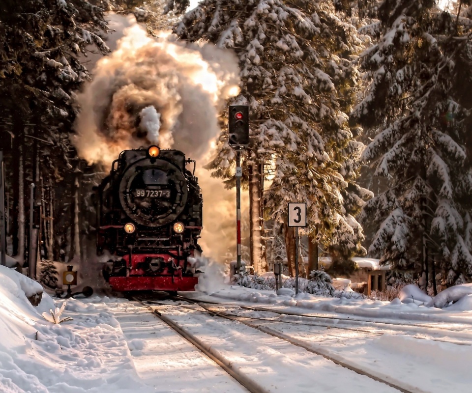 Паровоз в димнем лесу обои