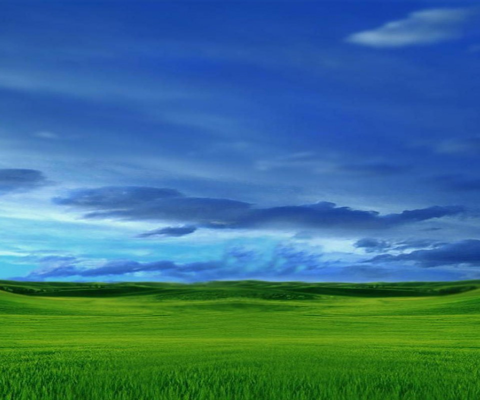 Зеленый луг обои