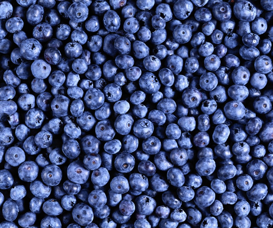 Черника обои