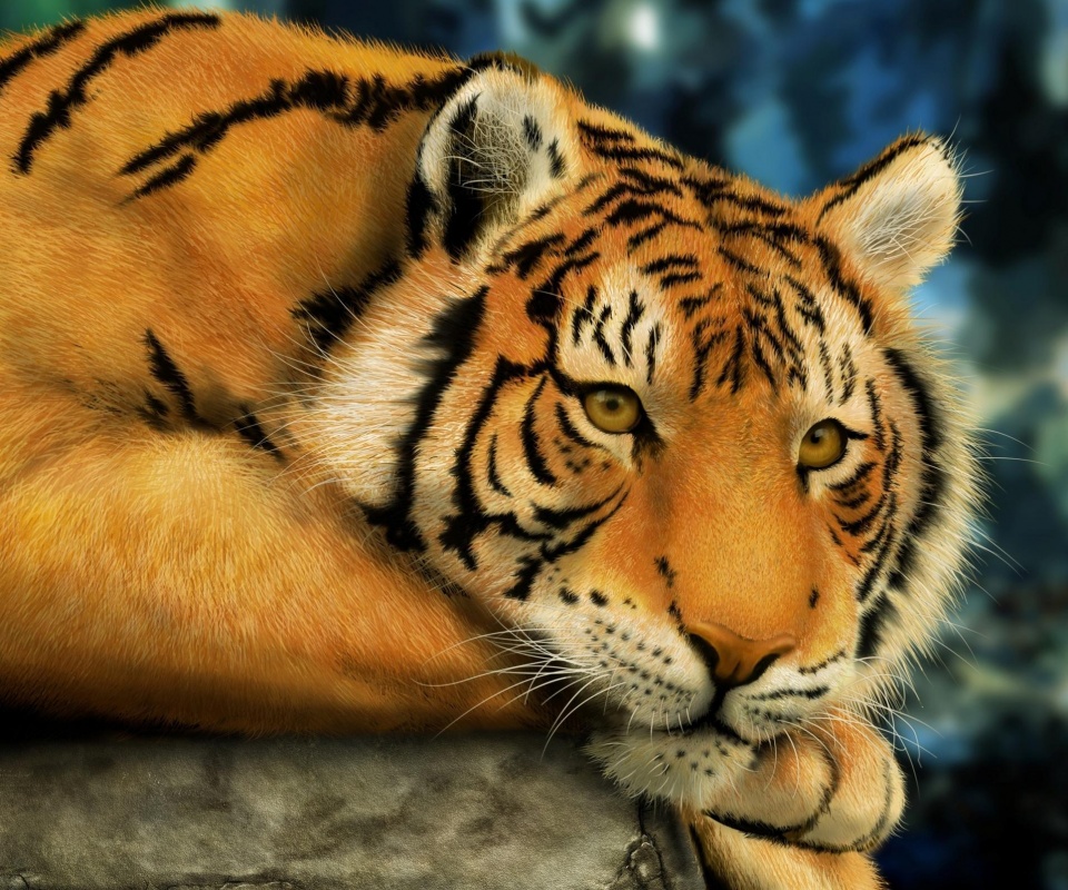 Грустный тигра обои