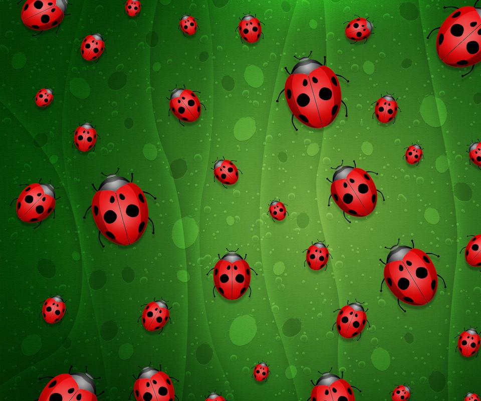 Божьи коровки обои