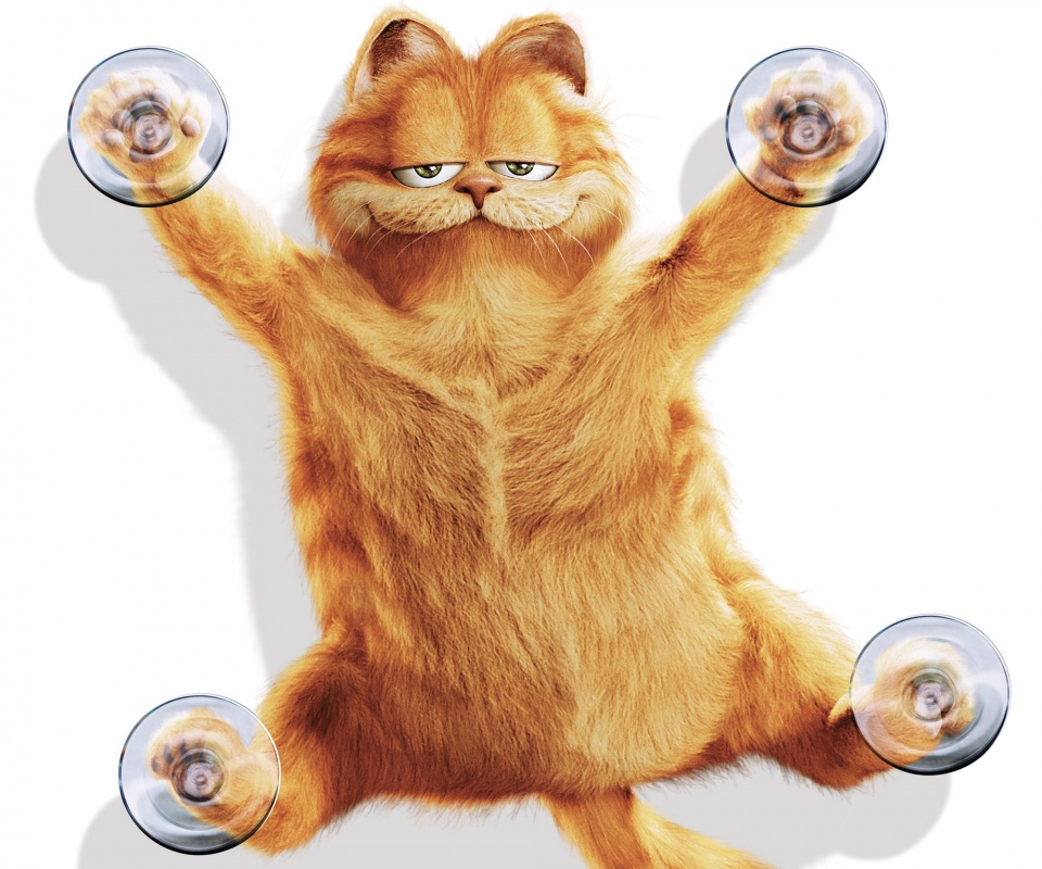 Рыжий проказник обои