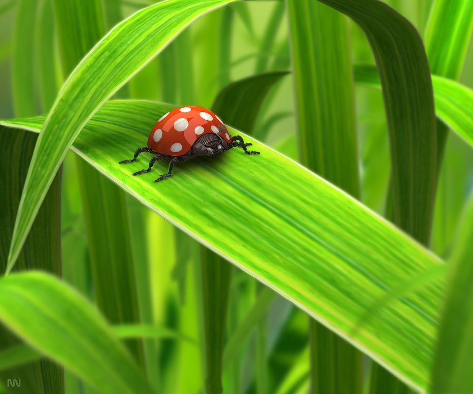 Милая божья коровка робот обои