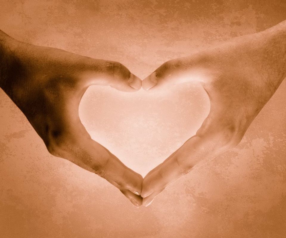 Сердце из сложенных рук обои