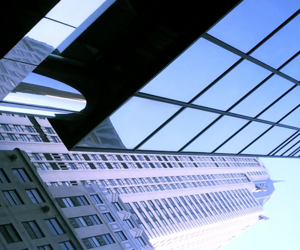 Взгляд вверх обои