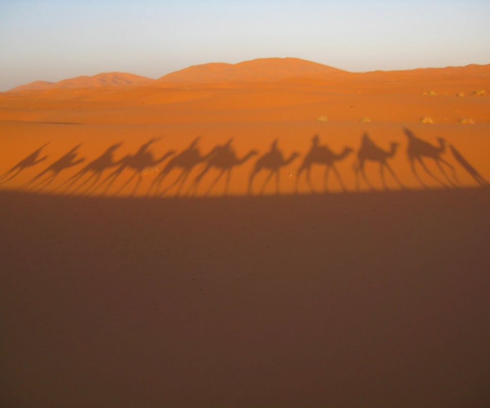 Караван обои