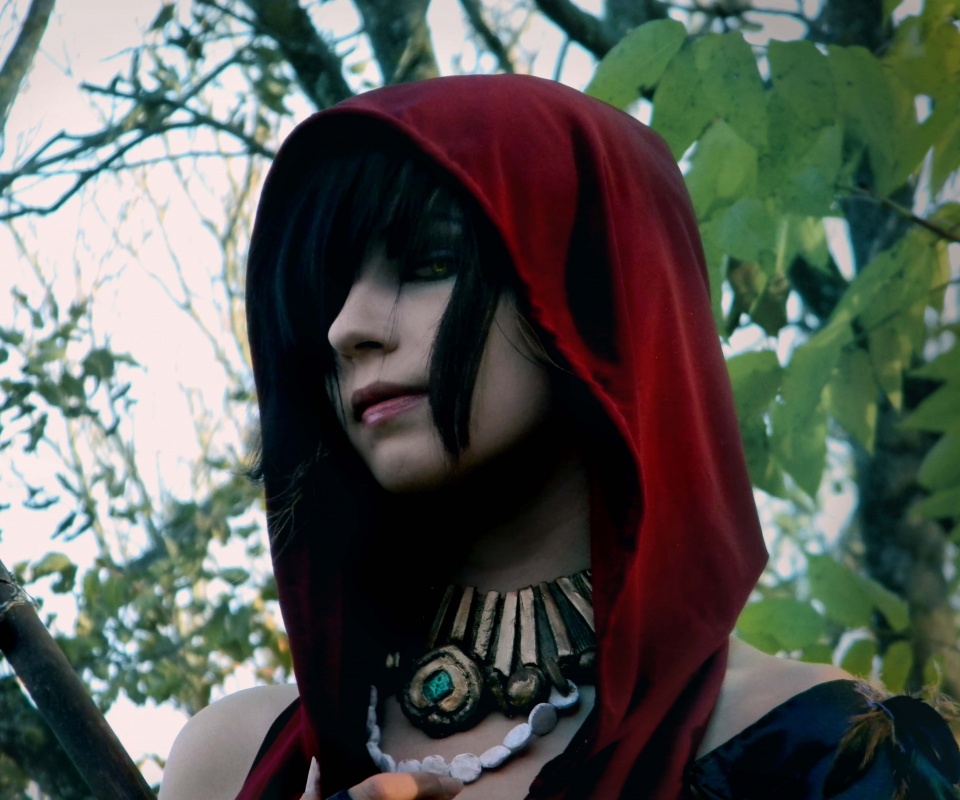 Косплей Морриган обои