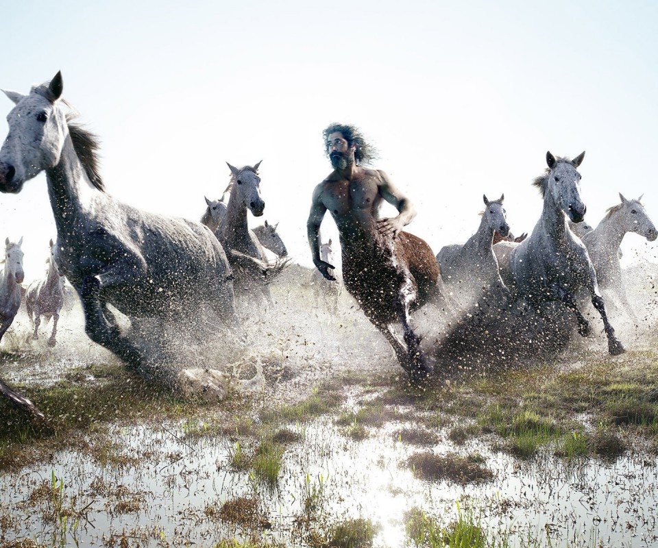 Кентавр обои