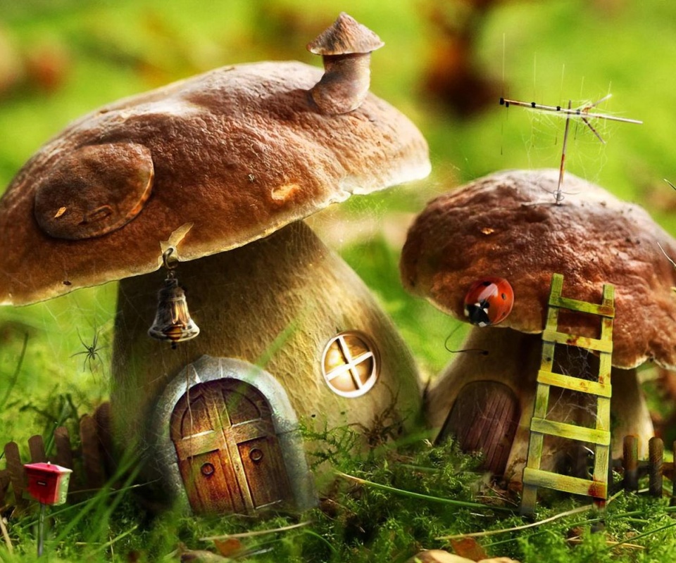 Грибы домики обои