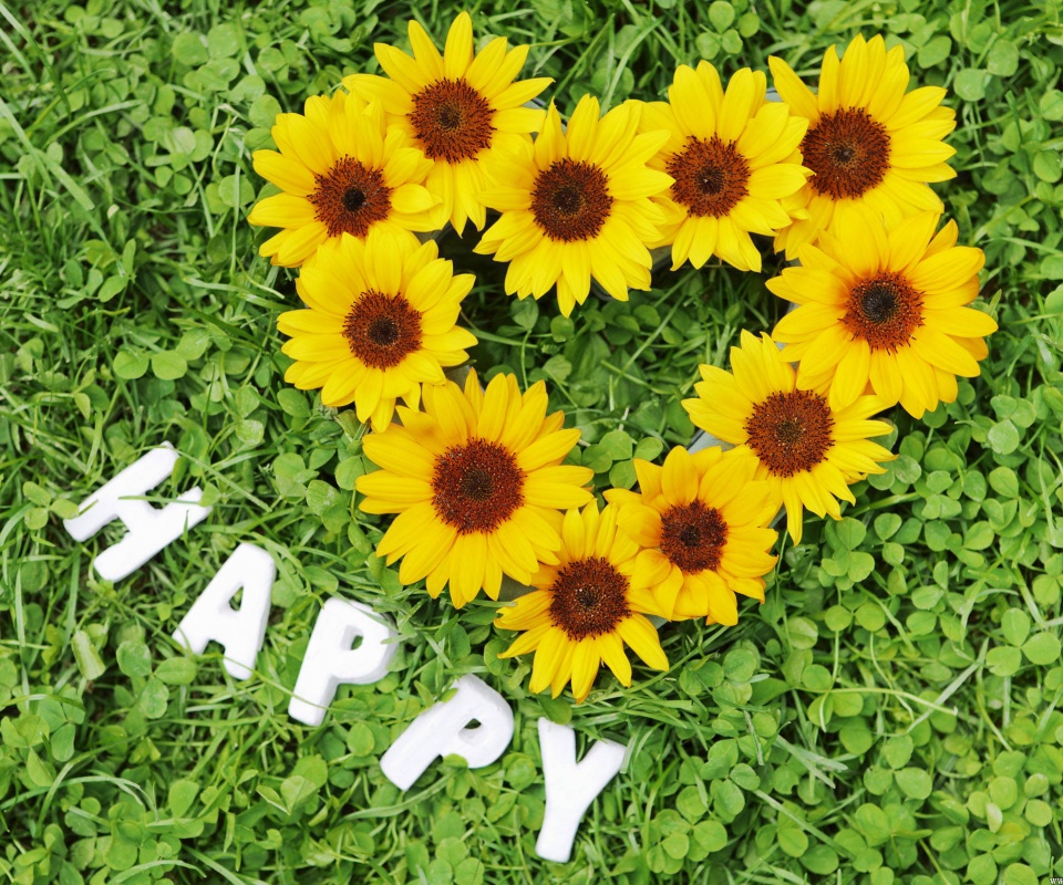 Радость обои