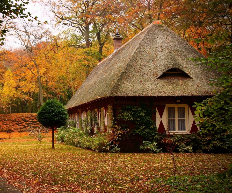 Домик в осеннем лесу обои