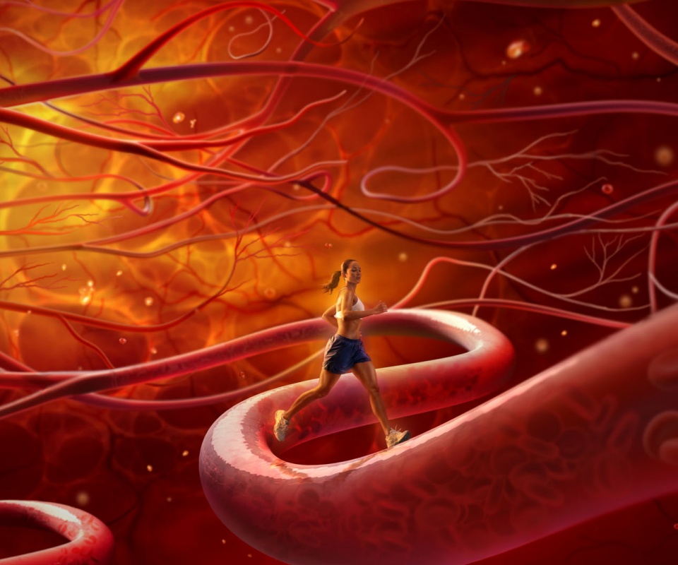 Бег крови обои