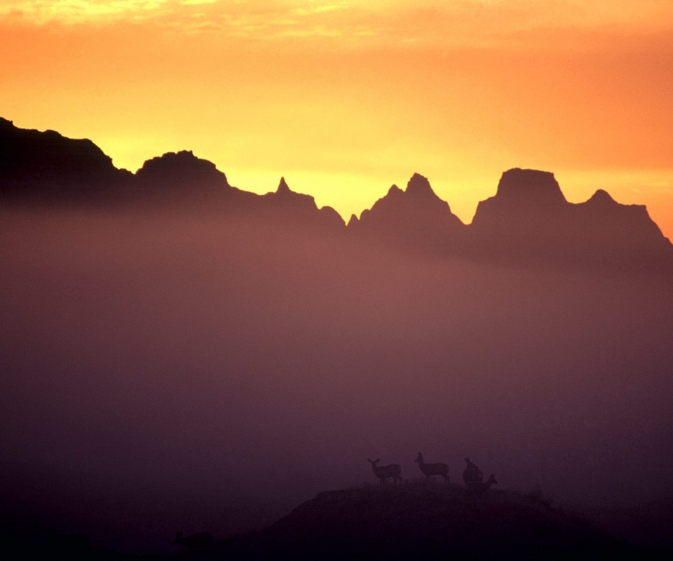 Вечер в национальном парке обои