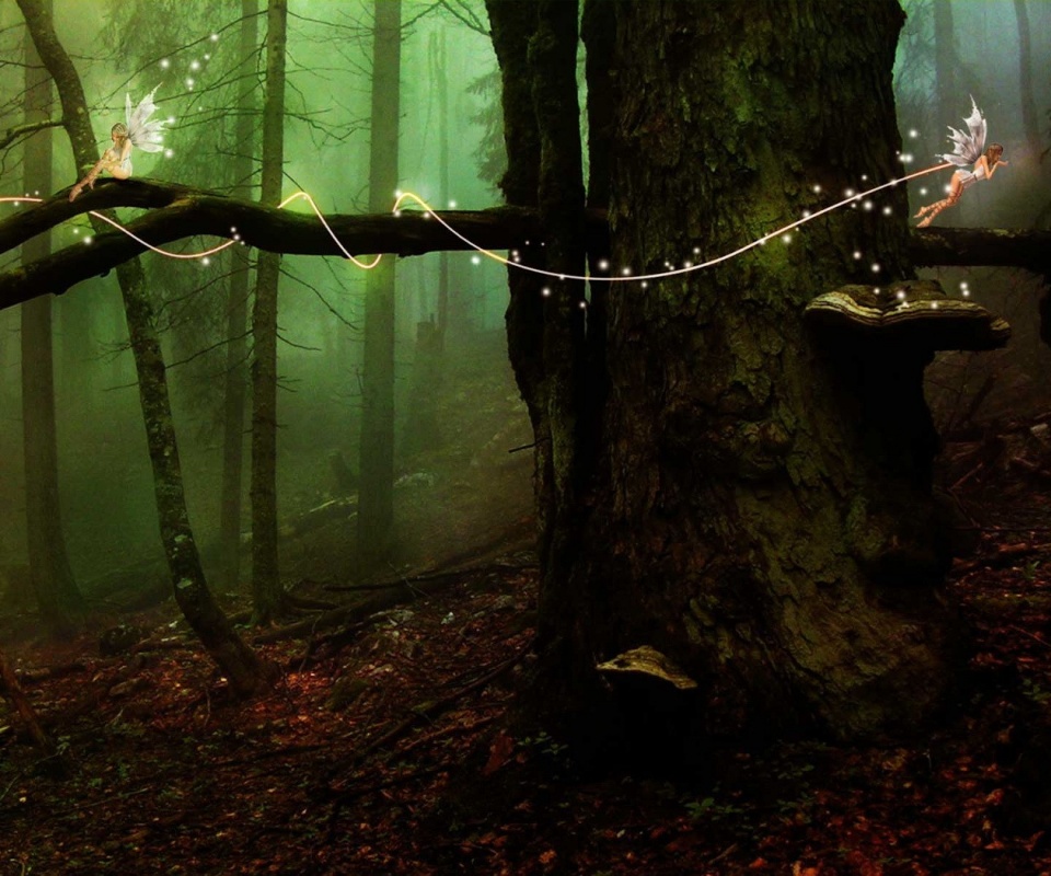 Лесные феи обои