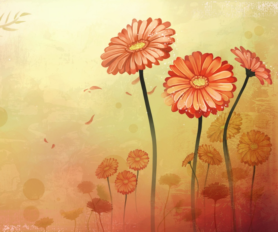 Векторные ромашки обои