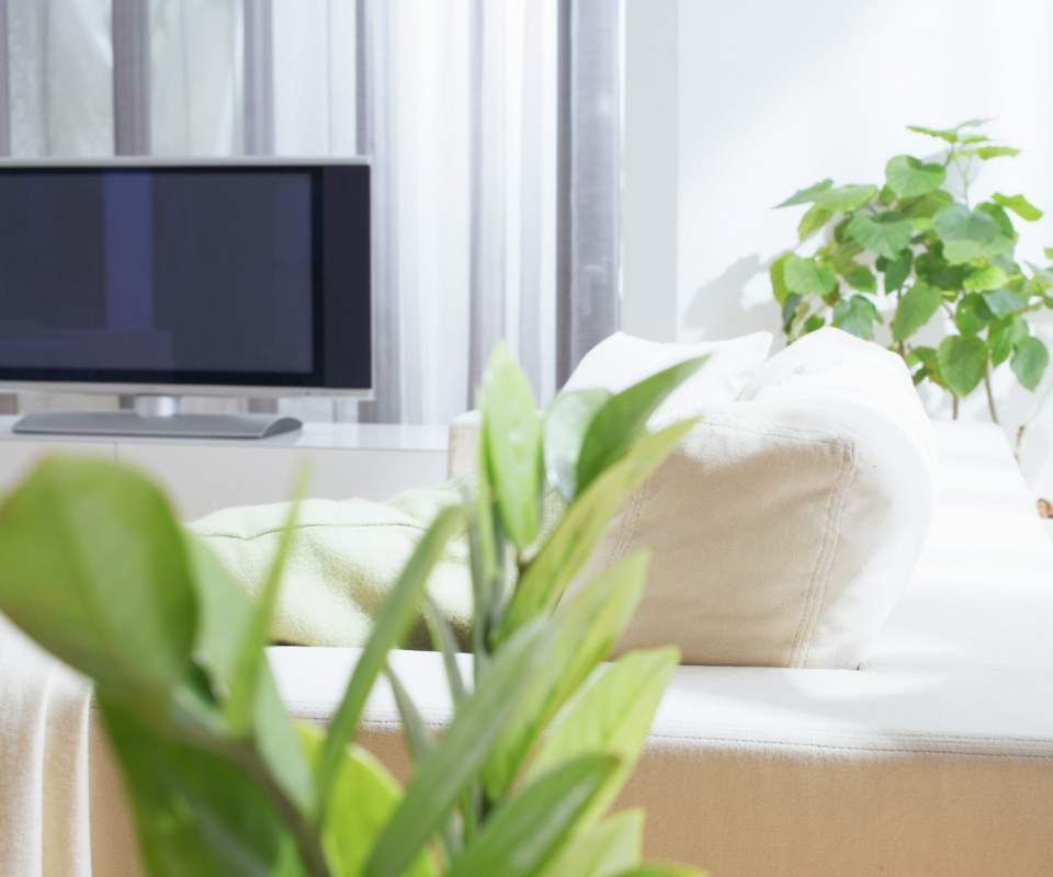 Белая комната обои