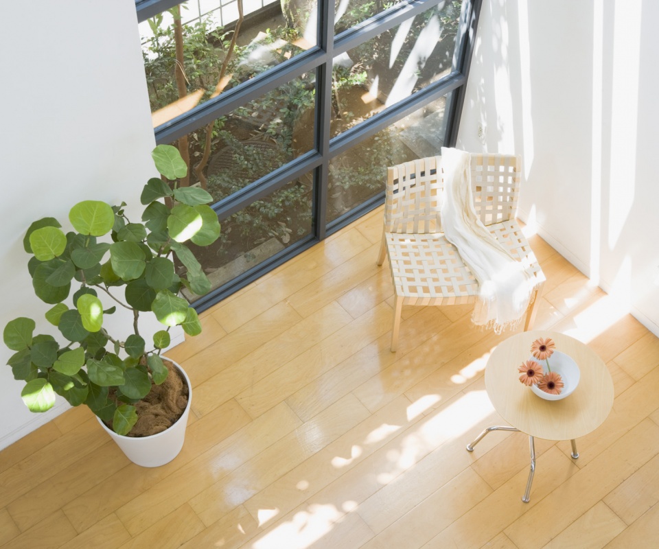 Стул, столик и цветы в комнате обои