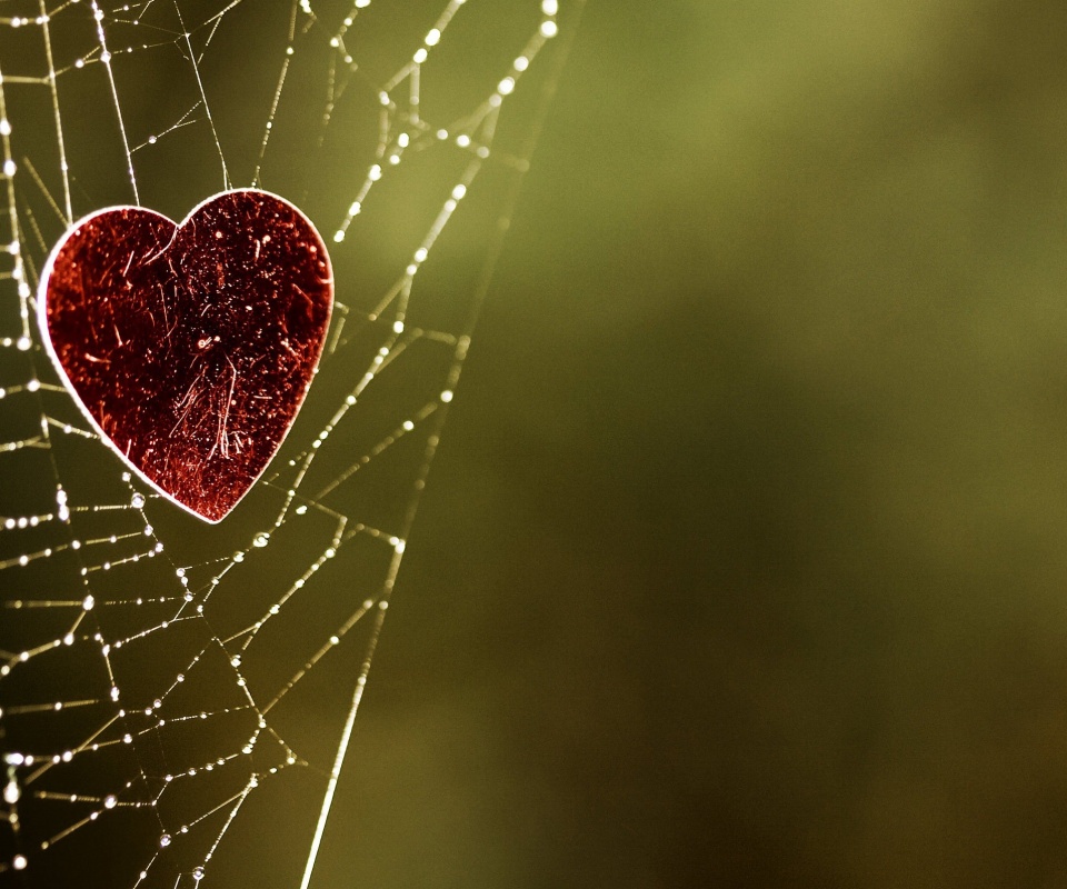 Запутавшаяся любовь.. обои