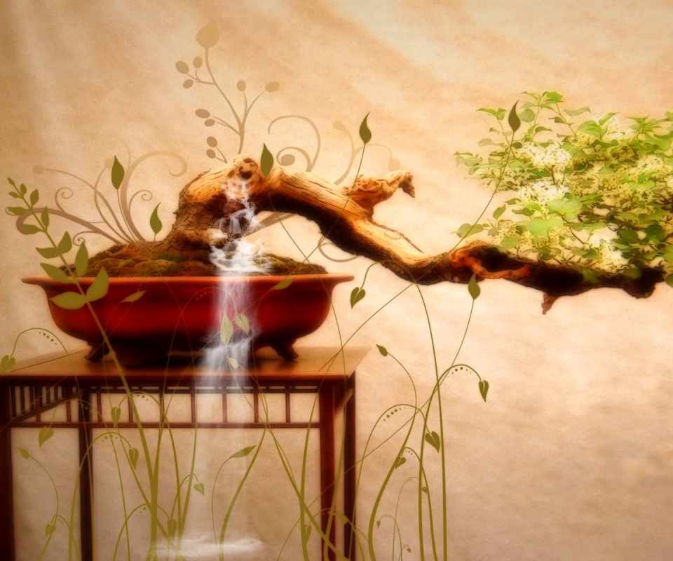 Карликовое дерево обои