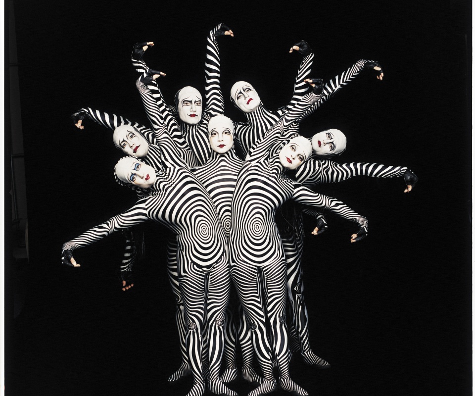 Зеброиды (актеры цирка дю солей) обои