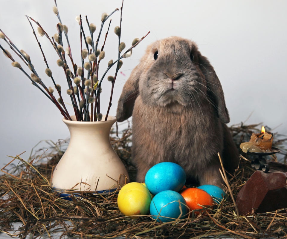 Пасхальный кролик обои