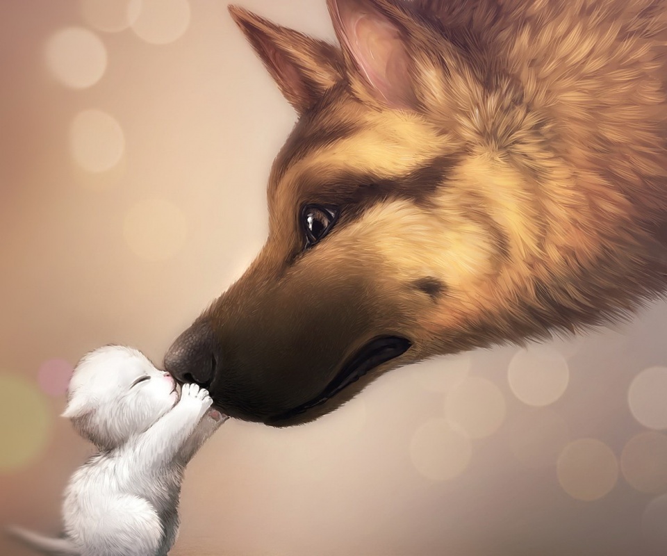 Овчарка и котенок обои