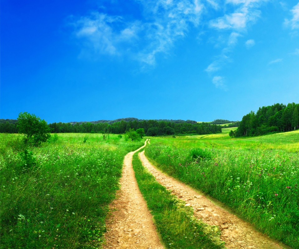 Дорога через луг обои